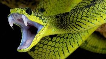 這12個野外急救措施 關鍵時刻真能救命