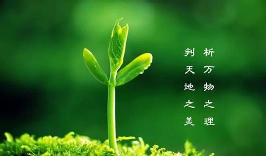 植樹節(jié)是幾月幾日?植樹節(jié)的由來和意義