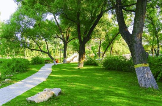 植樹節(jié)是幾月幾日?植樹節(jié)的由來和意義