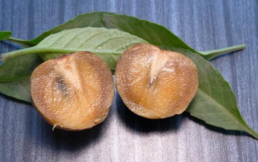 吃水果可以瘦肚子 這7種水果不要錯過