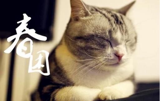 春季犯困煩惱多 教你五招遠離春困問題