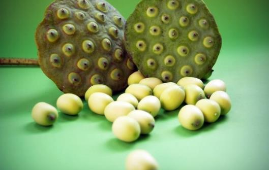 蓮子一把 大腦靈活降壓安神簡單又有效