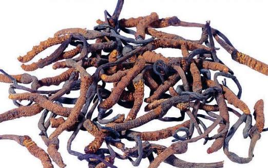 感冒了別隨便買中成藥吃 這些用藥錯(cuò)誤你都犯了嗎?