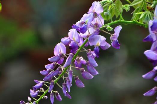 6款長(zhǎng)假調(diào)身湯 讓疲憊的你滿血復(fù)活