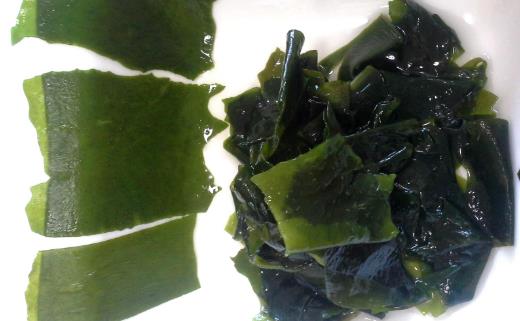 食物有助提高免疫力?9種食物不可錯過!