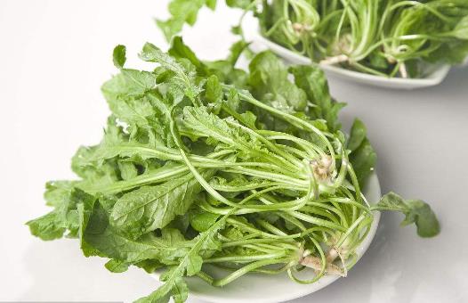 薺菜的吃法得細心了解 如何養生比較好呢