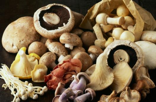 20個(gè)保存食物的小妙招，保證讓你受用無窮！