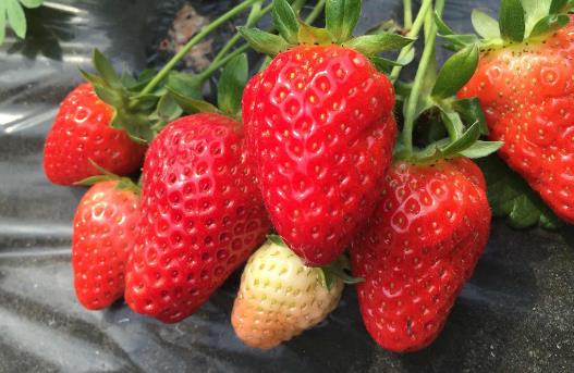 20個(gè)保存食物的小妙招，保證讓你受用無窮！