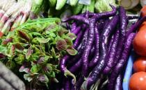 吃不完的時令菜 換種方式來保鮮同樣好味道