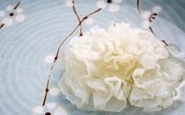 銀耳營養價值高 春季止咳潤肺可吃它