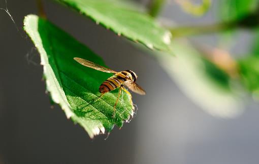 20個(gè)生活中的急救常識日常生活中,意外傷害很難避免,有時(shí)