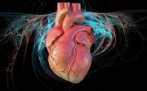 發熱咽痛是心肌炎早期癥狀 預防心肌炎需要適當休息