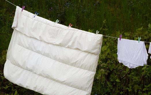 關于衣物鞋子清潔保養的小妙招 一定能幫到您