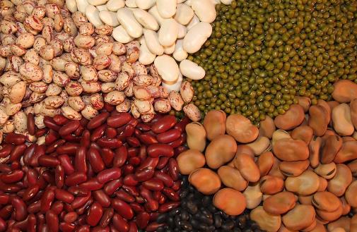 8種清潔血管食物分享