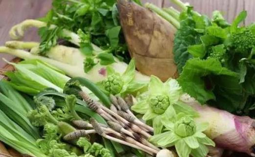 春天養肝護肝最好的季節 要想養肝避免這種傷肝行為