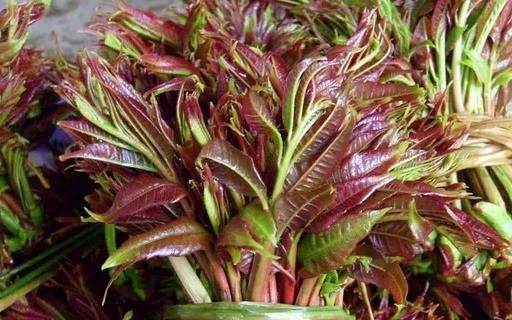 春天養生宜注重升陽疏肝和醒脾 香字輩食物來滿足