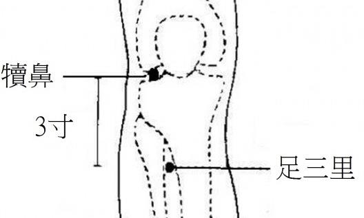 春天養生宜注重升陽疏肝和醒脾 香字輩食物來滿足