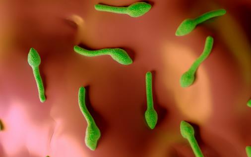 什么是破傷風?為什么破傷風會致命?