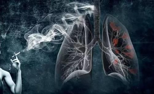 身體異狀是肺不好的表現(xiàn) 肺不好多吃3白幫你養(yǎng)好肺