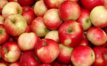 一日一蘋果醫生遠離我 解鎖蘋果美味營養新吃法