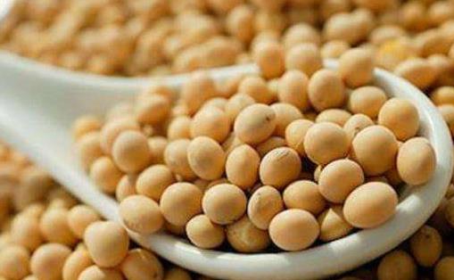 合理的飲食方法能達到減肥目的 能減肥的蔬菜