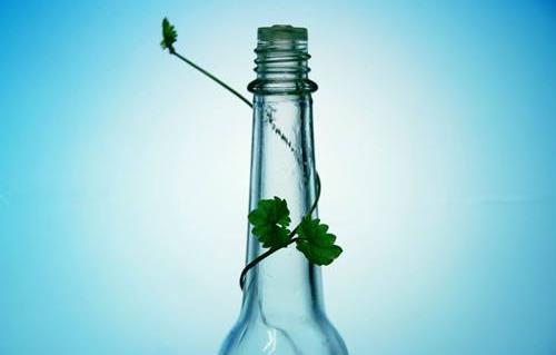 花露水不能驅蟑螂 花露水的主要作用