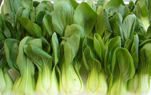 吃錯蔬菜等于吃垃圾 吃蔬菜的禁忌