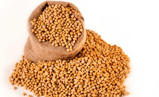 如何管理好自己的健康?送你6個健康小秘訣