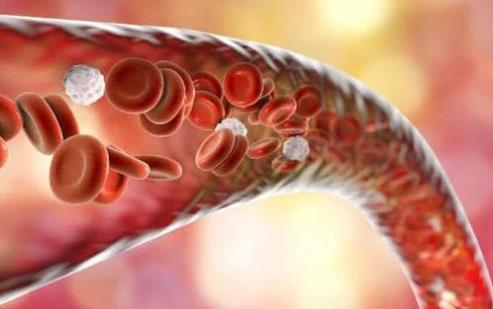 喝醋、喝紅酒、喝魚油能軟化血管?真正管用的其實是它