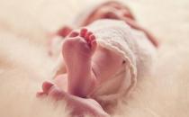 明確胎兒心臟發育的過程 讓你的胎兒遠離先天性心臟病