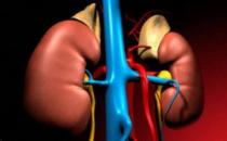 晨起如廁時有4表現3征兆 預示你的腎臟是否健康