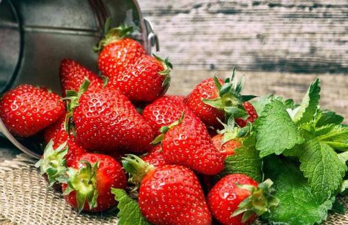草莓的營養價值 食用草莓對防治冠心病有益處