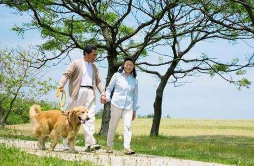 養(yǎng)狗人士的運(yùn)動(dòng)量達(dá)標(biāo)率會(huì)偏高 帶著狗狗運(yùn)動(dòng)的好處
