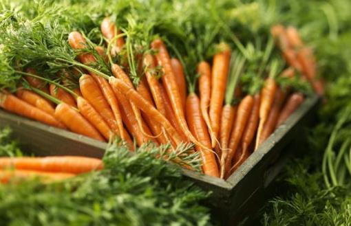 胡蘿卜有點甜糖尿病人可不可以吃？