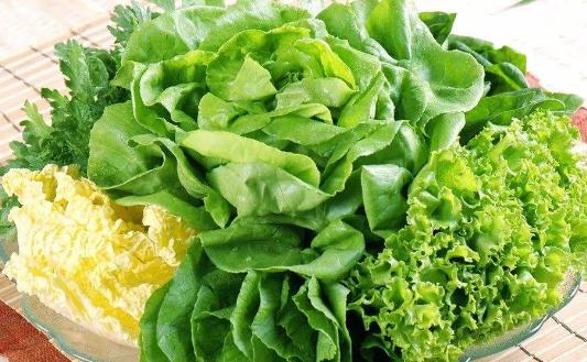 保護心臟 用好心臟的營養守護神