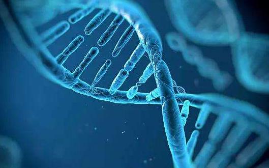 癌癥泛濫 癌癥候選人的防癌要點