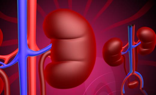 胡亂吃藥小心傷害你的腎 腎臟不好的日常調理分析