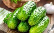 黃瓜的營養價值 黃瓜的食用及美容功效