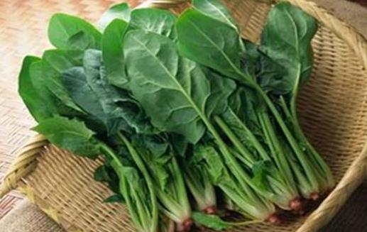菠菜是補葉酸好手 菠菜的飲食宜忌