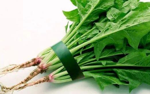 菠菜是補葉酸好手 菠菜的飲食宜忌