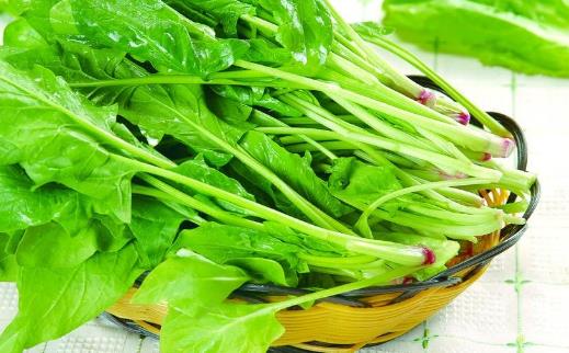 菠菜是補葉酸好手 菠菜的飲食宜忌