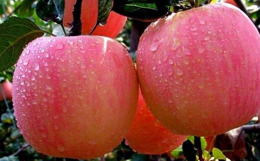 熬夜對健康造成傷害 最適合熬夜一族的養生食物