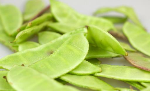 秋老虎來臨,5大時令食材抗秋燥!