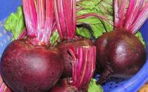 上班提不起精神 推薦五大護腦抗疲勞食品