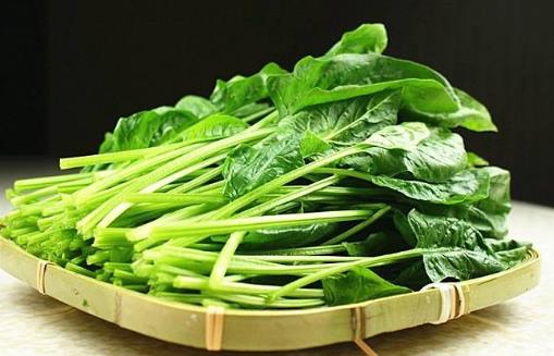 從食物中獲得保健功效 適合白領養生的秘方