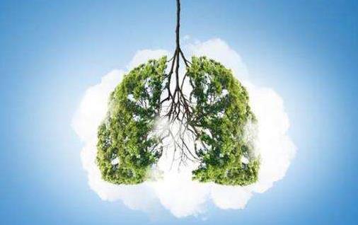 容易傷肺的十種職業 根據肺的生理特點來養護