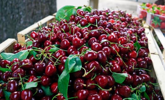 有美白作用的9種食物 不同身體部位的美白食物推薦