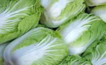 白菜上的小黑點是什么能不能吃 吃大白菜的禁忌分享