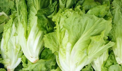 健康飲食減肥方法 11種食物來幫助我們減肥