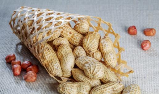 花生正確的吃法不用擔心發胖 四類人不宜吃花生